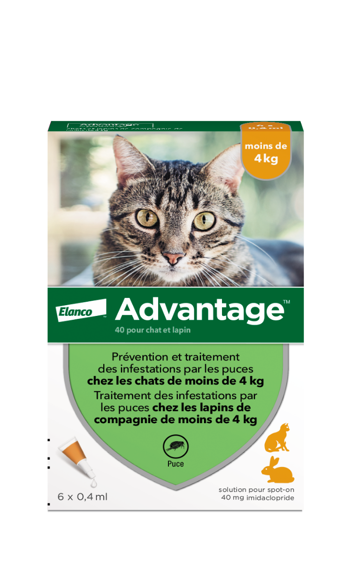 BAYER ADVANTAGE 40 SPOT ON CHATS ET LAPINS 4KG 6 PIPETTES