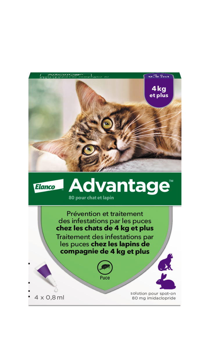 BAYER ADVANTAGE 80 SPOT ON CHATS ET LAPINS 4KG ET 4 PIPETTES