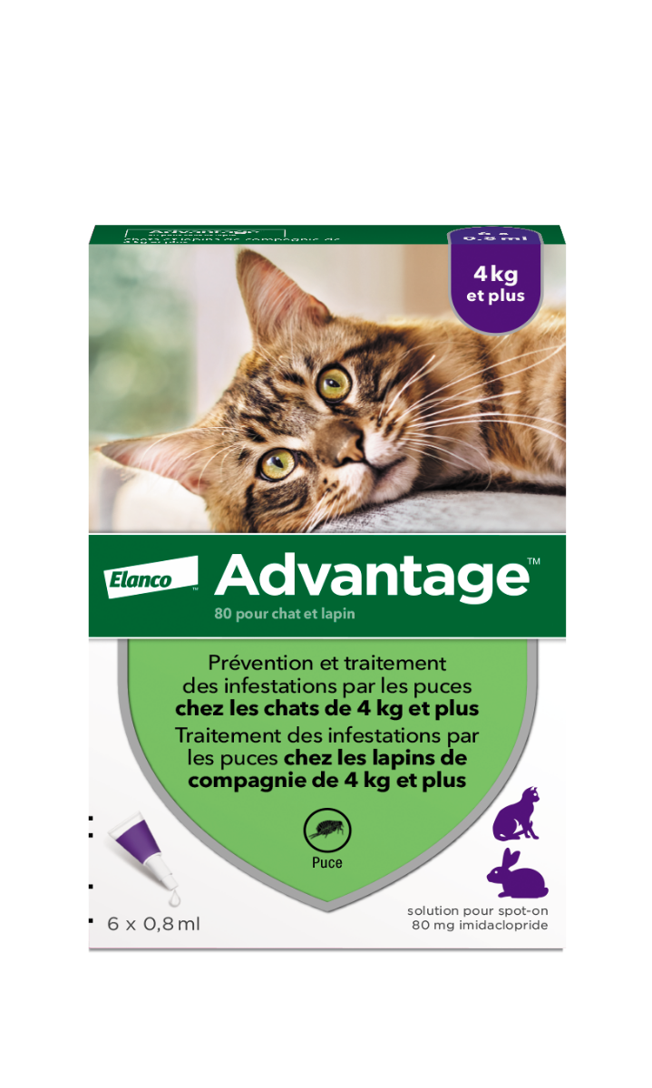 BAYER ADVANTAGE 80 SPOT ON CHATS ET LAPINS 4KG ET 6 PIPETTES