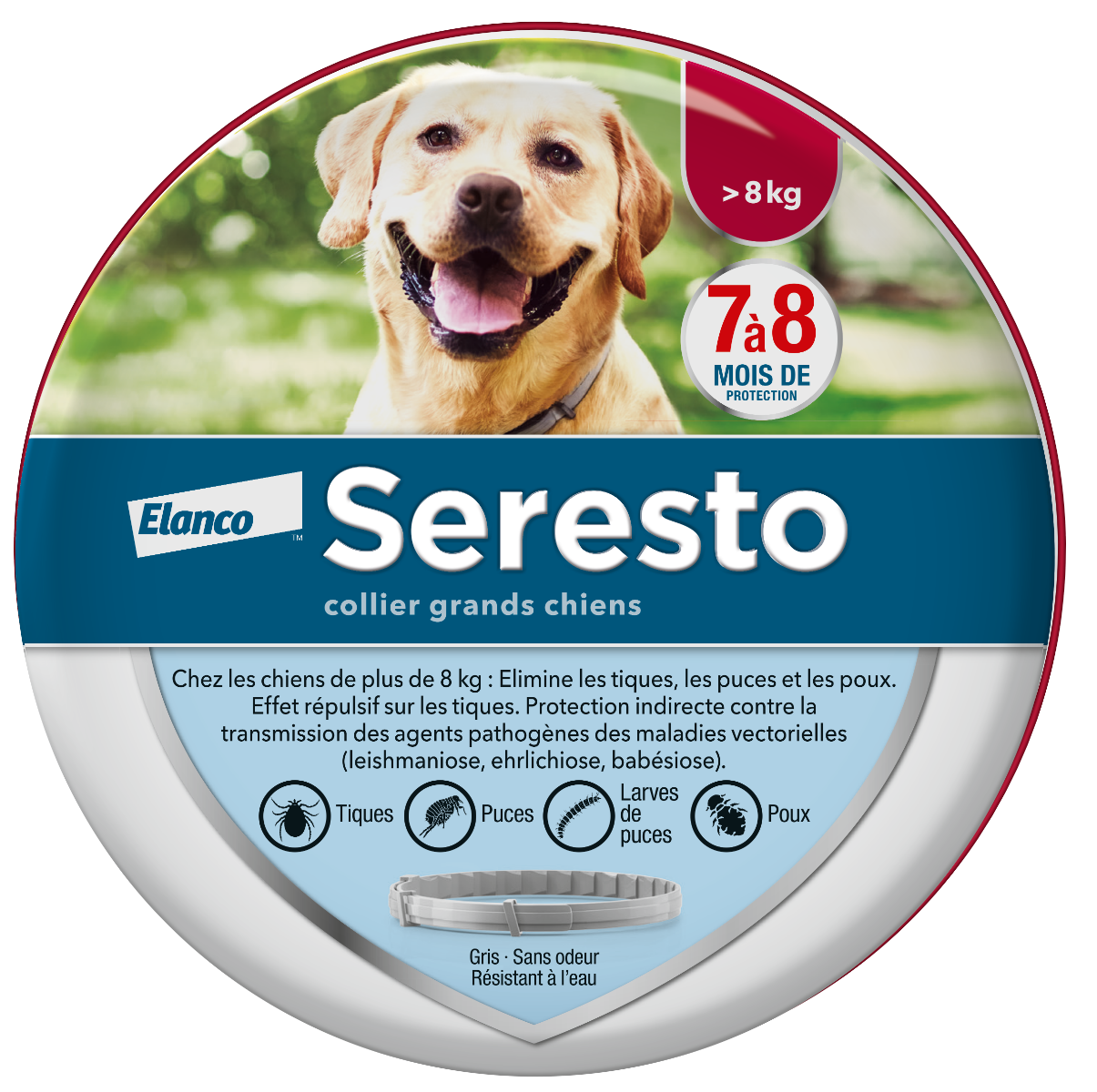 BAYER SERESTO COLLIER GRANDS CHIENS 70CM 1 UNITE