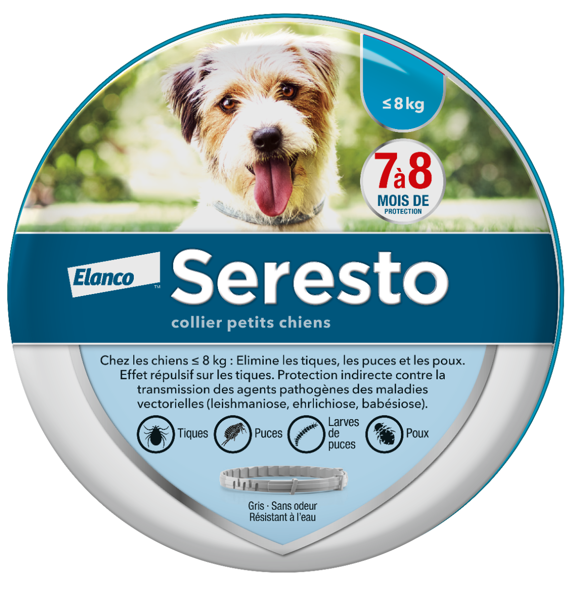 BAYER SERESTO COLLIER PETITS CHIENS 38CM 1 UNITE