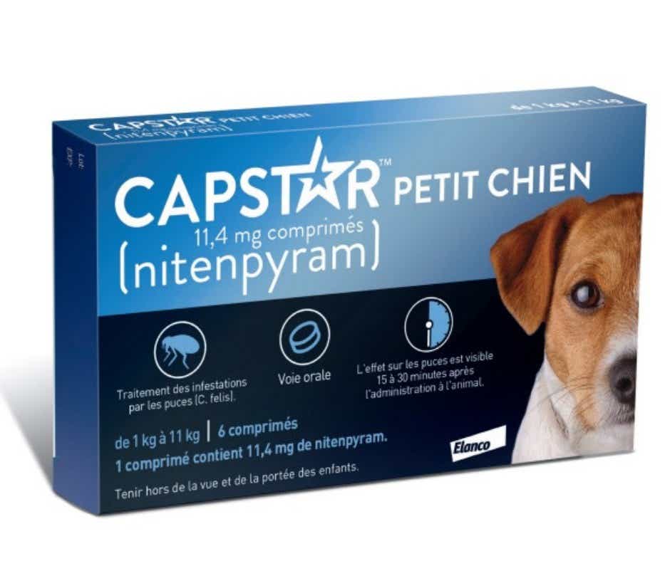 ELANCO CAPSTAR TRAITEMENT ANTI PUCES POUR PETIT CHIEN 11 4MG 6 COMPRIMES