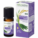 NATURACTIVE HUILE ESSENTIELLE EUCALYPTUS RADIE BIO 10 ML