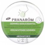 PRANAROM AROMAFORCE GOMMES ADOUCISSANTES MENTHE ENCALYPTUS BIO 45G