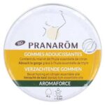 PRANAROM AROMAFORCE GOMMES ADOUCISSANTES MIEL CITRON BIO 45G