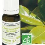 PRANAROM HE HUILE ESSENTIELLE PETIT GRAIN BIGARADE BIO 10 ML