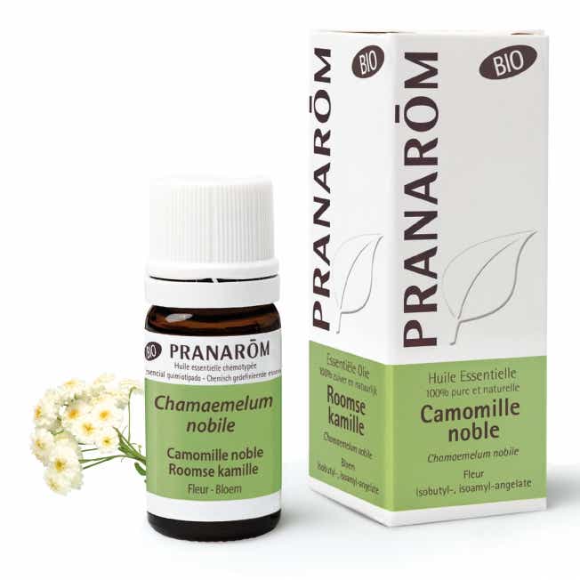 PRANAROM HUILE ESSENTIELLE CAMOMILLE NOBLE BIO 5ML 34286