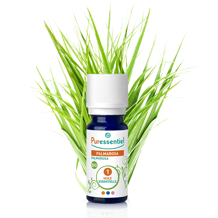 PURESSENTIEL HUILE ESSENTIELLE PALMAROSA BIO 10ML 29705
