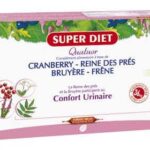 QUATUOR CONFORT URINAIRE BIO 20 AMPOULES DE 15ML