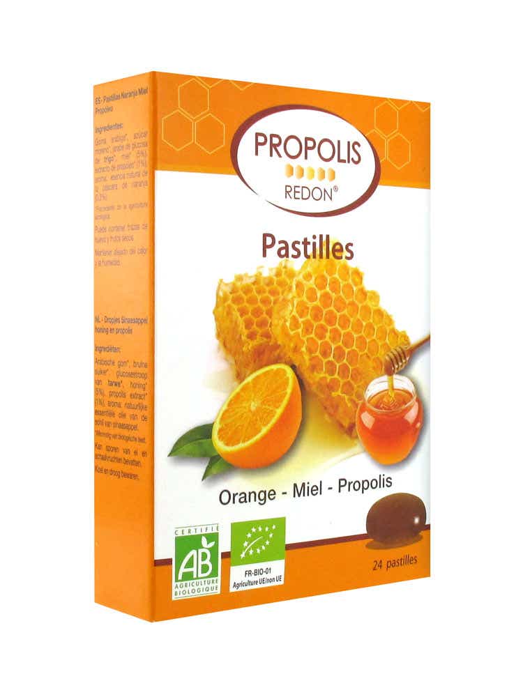 REDON PASTILLES A SUCER BIO GOUT ORANGE 24 PASTILLES