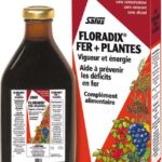 SALUS FLORADIX FER PLANTES 250ML