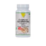 VIT ALL COMPLEXE CHAMPIGNONS BIOLOGIQUE 500MG 60 GELULES VEGETALES
