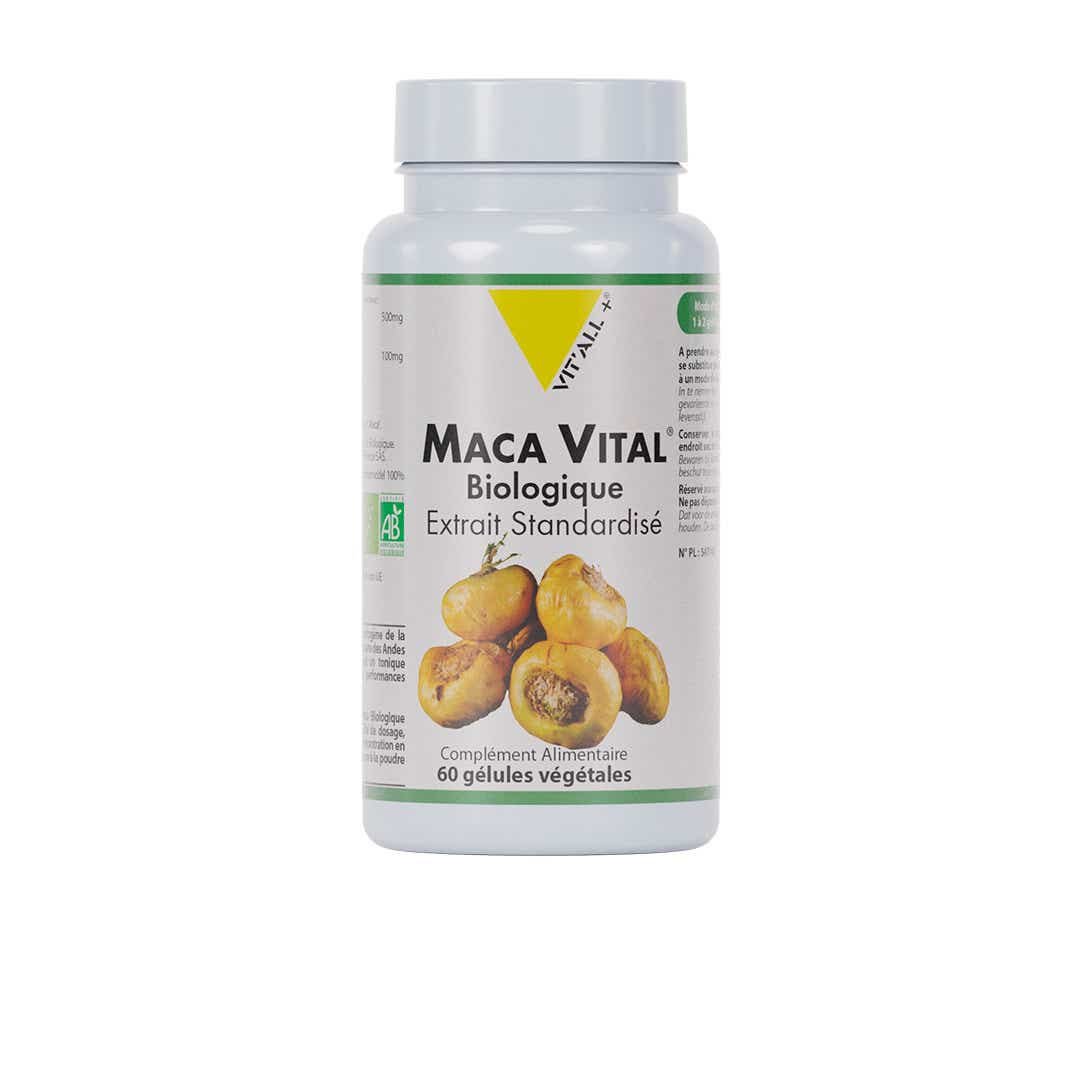 VIT ALL MACA VITAL EXTRAIT STANDARDISE 500MG 60 GELULES VEGETALES