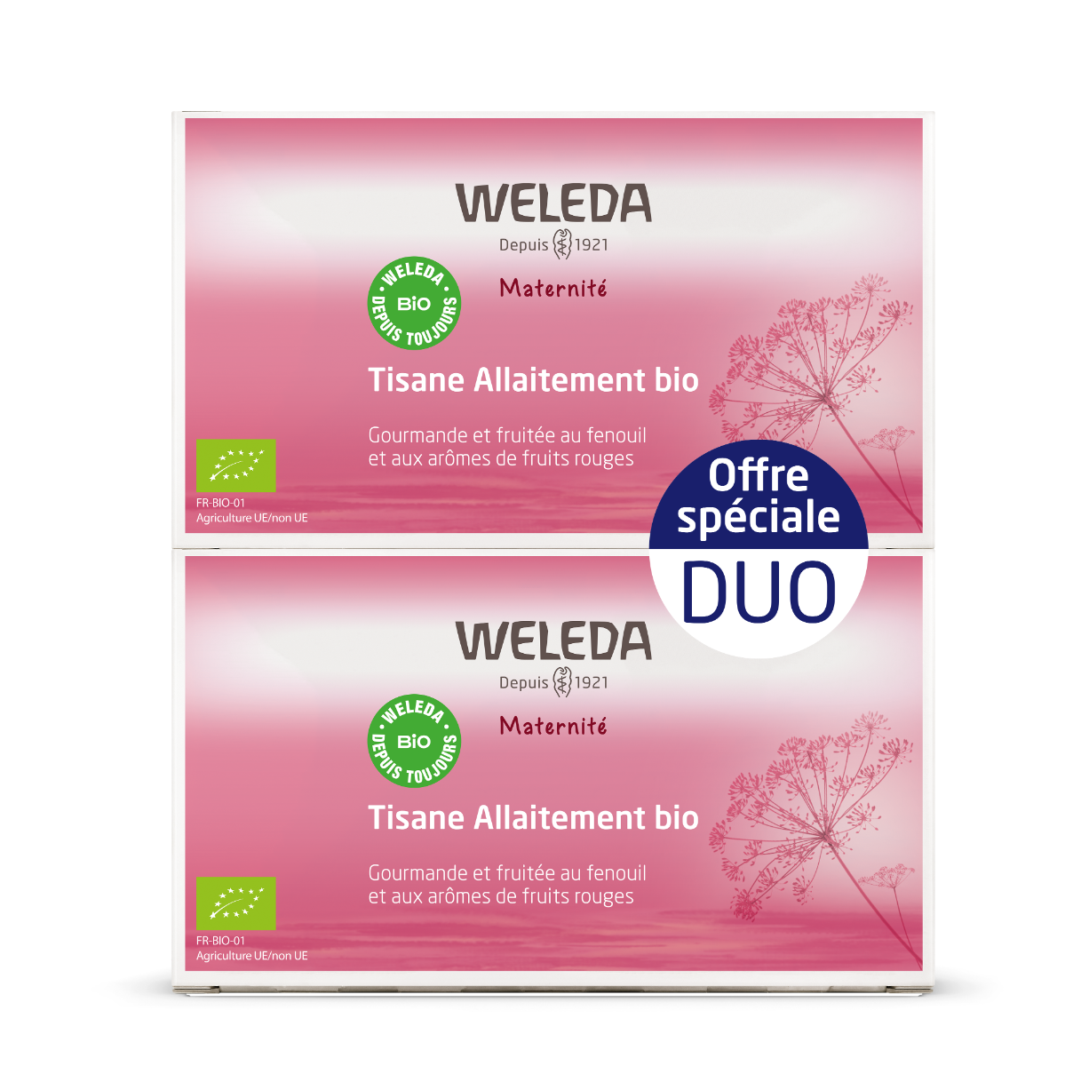 WELEDA MATERNITE DUO TISANE ALLAITEMENT FRUITS ROUGES 2X20G